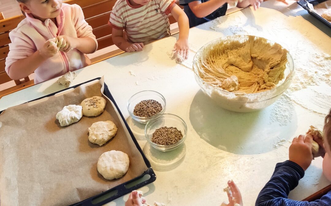 Wir feiern ein Erntedankfest!