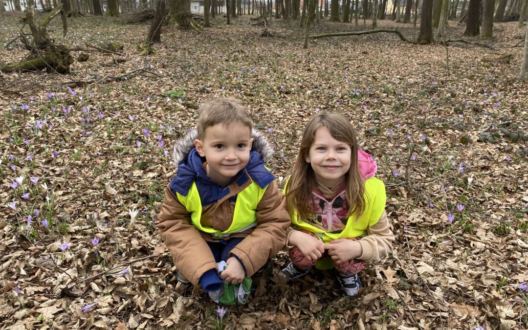 „Den Frühling entdecken“