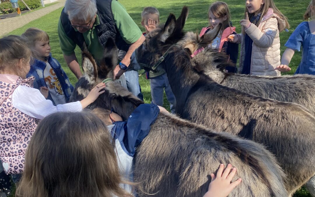 „Grosse Freude über Eselbesuch“