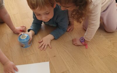 SPINNE CORDULAIN DER KINDERKRIPPE