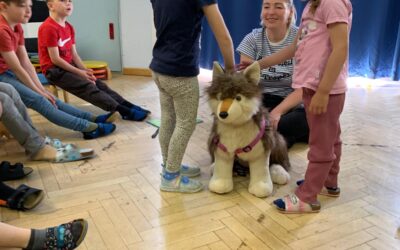 Erfahrungsangebot „Sicherer Umgang mit Hunden“